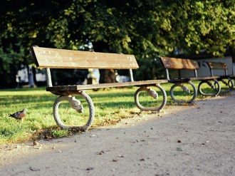 Gusseisenbank | Drachen